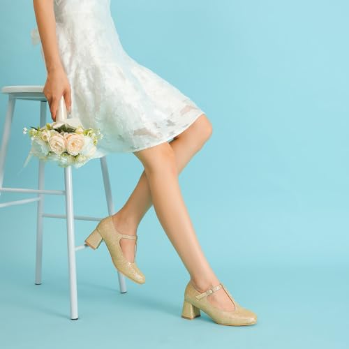 LIURUIJIA Women's T-Strap Low Chunky Heels Mary Jane Pumps Round Closed Toe Comfy Dress Shoes for Women2