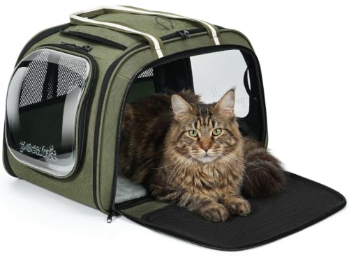 Pecute Cat Carrier,Double Bubble Pet Carrier for Cat Small Dogs,Green,XL