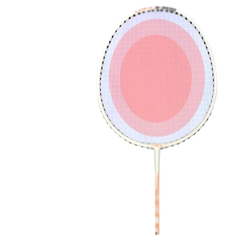 Alloy Badminton Racket Set Full Carbon Fiber Batting Adult Rackets