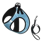 Facile à enfiler et à nettoyer : Son design simple permet de l'enfiler et de le retirer rapidement. Laisse incluse. Lavage à la main recommandé, ne pas javelliser, séchage à l'air libre. Cet ensemble harnais et laisse pour chien est parfait pour les promenades quotidiennes et les aventures en plein air.