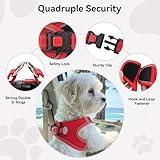 Joytale Hundegeschirr, Reflektierend Weich Gepolstert Hunde Geschirr, Air-Mesh Atmungsaktiv Brustgeschirr für Kleine Mittelgroße Hunde, M, Rot