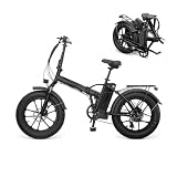 Youin Texas E-Bike Fatbike 20 Zoll, faltbares Elektrofahrrad mit 250-W-Motor, herausnehmbarem 36-V-Akku mit 10,4 Ah, bis 45 km Reichweite, 25 km/h, Shimano 7-Gang, hydraulischen Scheibenbremsen