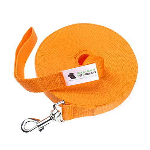Maximum Pet Products 100 FT Orange Hund Training führen