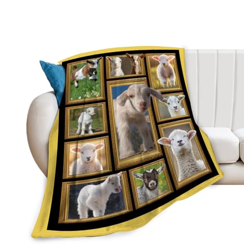 Sheep Blanket Fleece Soft Warm Plush Sheep Animal Throw Blanket Lightweight Plush Fuzzy Cozy Cute Lamb Blankets for Lover Kids Adult Suitable for Couch Sofa Bed 50