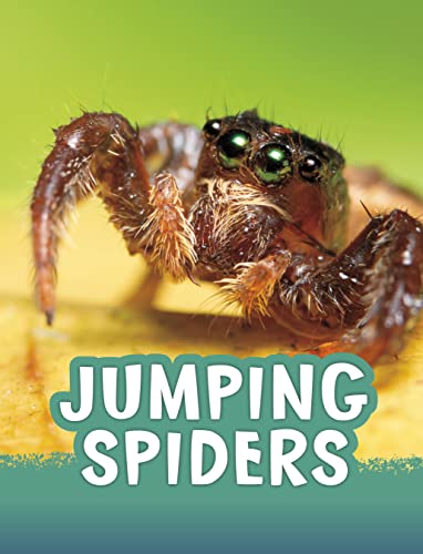 Jumping Spiders (Animals)