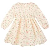 Beinou Toddler Fall Dress for Girls Long Sleeve Dress Baby Girls' Cotton Dresses Casual Spring Fall Outfits for Toddler, Beige, 12-18M