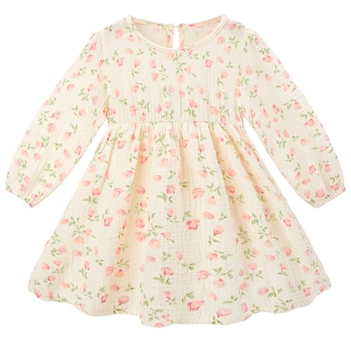 Beinou Toddler Fall Dress for Girls Long Sleeve Dress Baby Girls\' Cotton Dresses Casual Spring Fall Outfits for Toddler, Beige, 12-18M