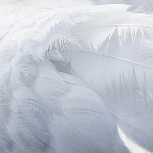 Lámpara de Plumas E27 Blanca de Techo: Iluminación Moderna de 40Cm 4