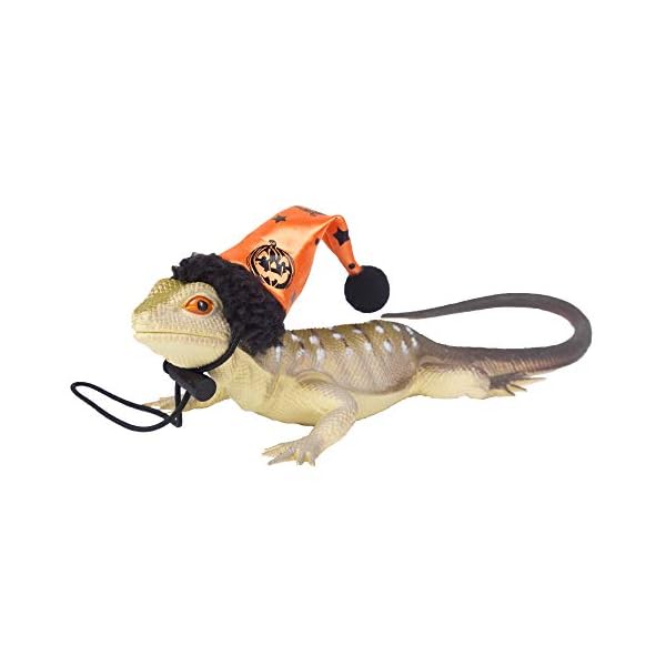Adoggygo halloween bearded dragon lizard leash harness hat set - bearded dragon clothe halloween pumpkin hat + 3 pack reptile harness leash for bearded dragon lizard reptile (halloween) - image 4