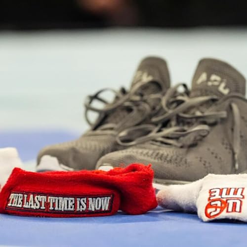 Couverture de The Hoots Podcast #500 - The Finale