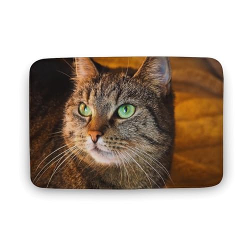 L   oX}bg   z փ}bg  O   傫 ~ Aj LN^[ @}bg   ʏ