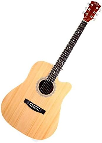 Trinity TNY-5000 Acoustic Guitar