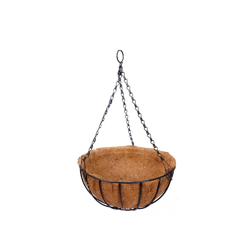 Time2Plant Metal Hanging Basket 8" inch with Coir for Plants (Pack of 5) | Hanging Planters for Balcony | Indoor and Outdoor Stand Made Mild Steel (B0CWVFC23D) Amazon Price History, Amazon Price Tracker