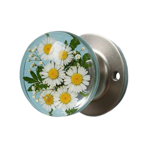 hAnh - Iȕ̃hAmuANVbNȃvCoV[Be[WhAmu | hAnhƒAX܁AoX[AgCAN[[bĝ߂̃GKgȃX^CAX[YȃObvA̋@\IȃfUC