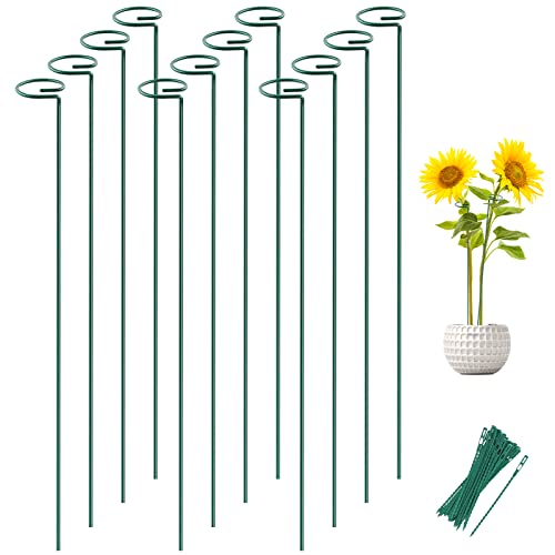 12 Pack 36 Inch Plant Support Stakes for Outdoor Plants and Indoor Flowers
