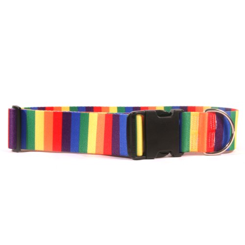 Image of Yellow Dog Design Rainbow Dog Collar Fits Neck 10 to 14 inch, Small /2 inch Wide