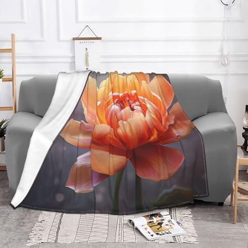 Couverture microfibre fleurie 152x127 cm pour lit et canapé - 3