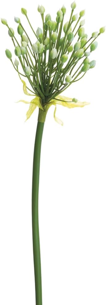 28" Agapanthus Bud Artificial Flower Stem -Cream/Green (Pack of 12)