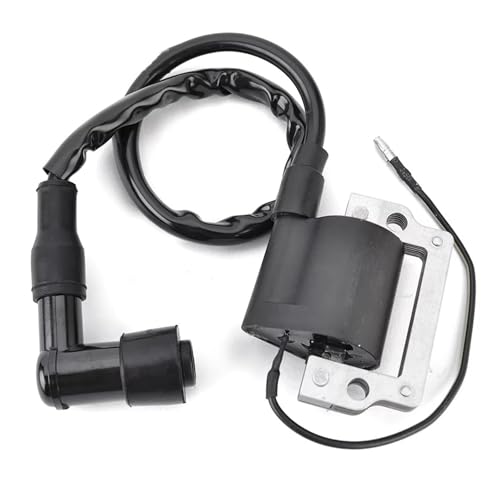 Bobina de encendido de repuesto para motocicletas con sistema CDI FS1 y DT125