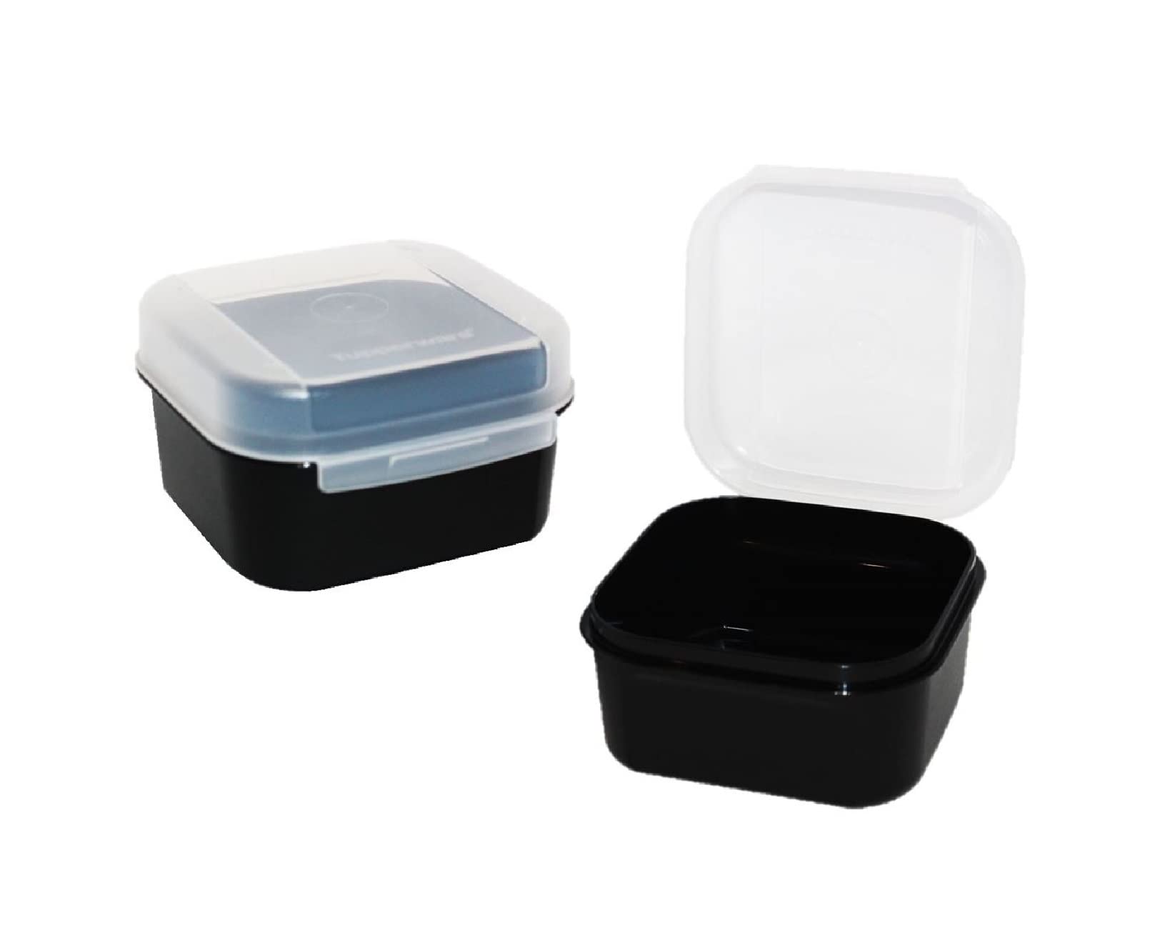 Tupperware 2 Signature Line Hinged Keepers Modular Mates Small