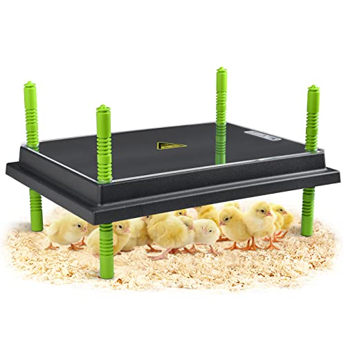 Top 10 Large Chicken Brooders The Ultimate Buying Guide for Poultry