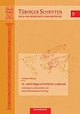 Ur- und frühgeschichtlicher Grabraub: Archäologische Interpretation und kulturanthropologische Erklärung (Tübinger Schriften zur Ur- und Frühgeschichtlichen Archäologie)