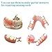 DIY Denture kit, Making Partial dentures and Full dentures kit DIY Simulation Practice Making Denture kit, Equipped with DIY Tool kit and Temporary Teeth,Create Your Perfect Smile at Home