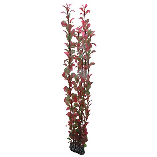 Hobby 41517 Ludwigia 60 cm