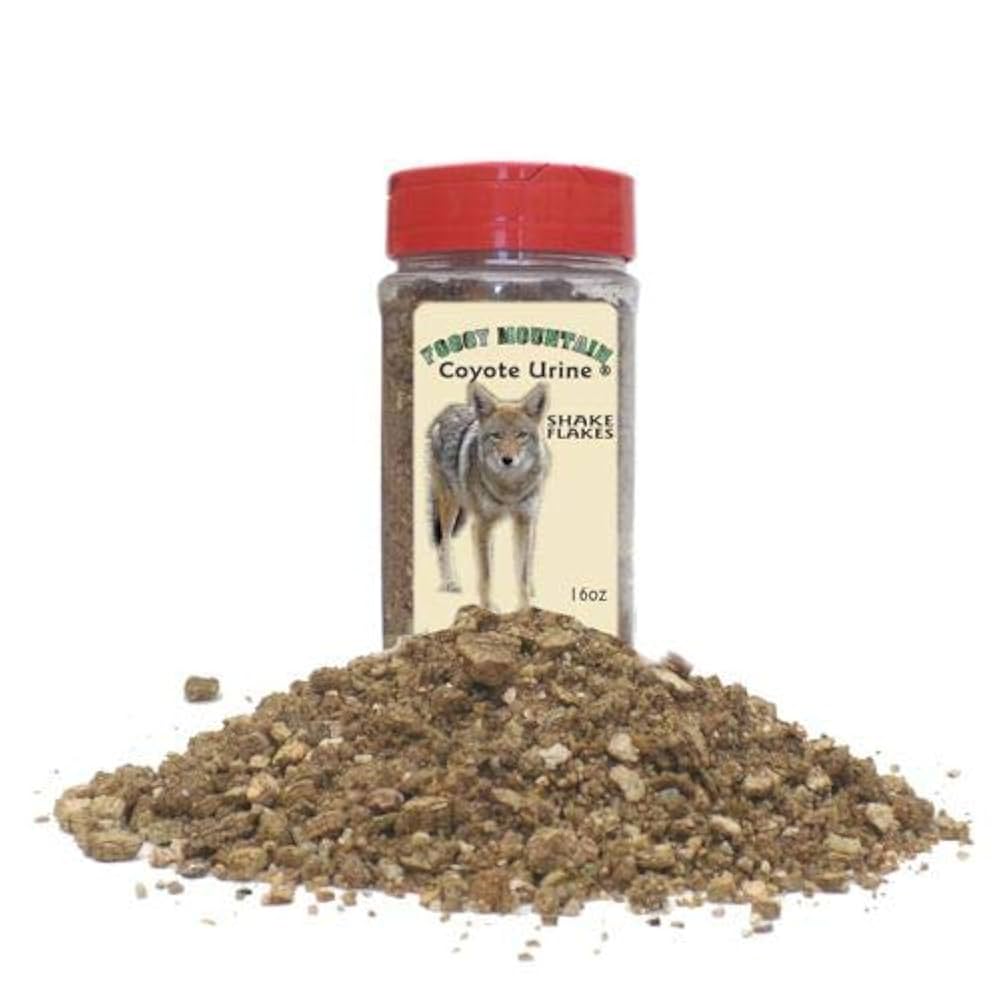 What Does Coyote Urine Smell Like: Nature's Pungent Mystery