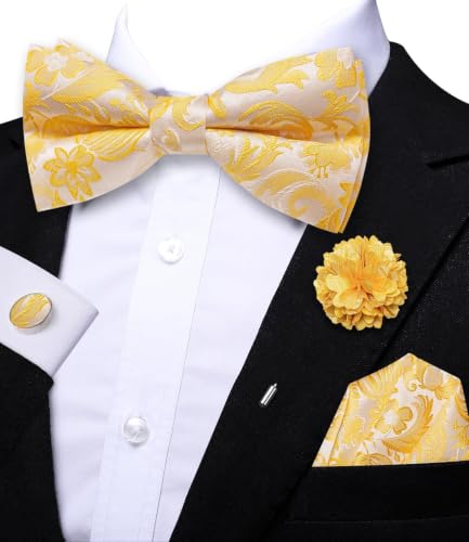 Image of Dubulle Mens Paisley Striped Bowtie Set Pre-tied Bowtie for Men and Pocket Square Set Wedding Business