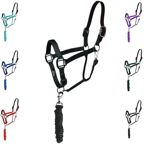 Majestic Ally Leather Halter with Lead Rope Cover