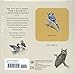 Clarkson Potter Sibley Backyard Birds Matching Game: A Memory Game with 20 Matching Pairs for Children