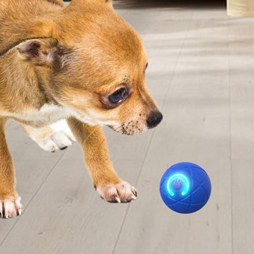 Jouet interactif pour chat en appartement : lot de 6 balles sautantes