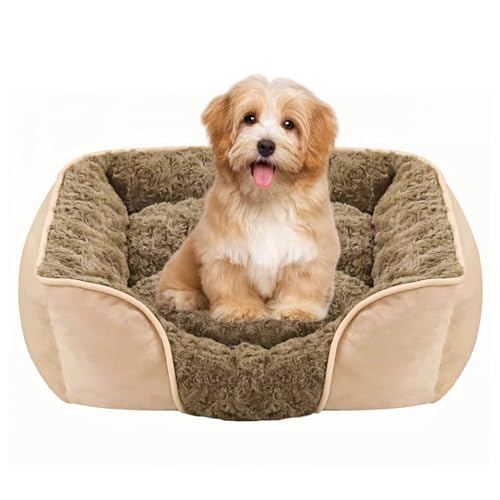 MeowMua Dog Bed for Small Medium Dogs, Cat Bed for Indoor Cats. Washable Orthopedic Dog Bed. Removable Sleeping Mat, Durable Pet Bed with Anti-Slip Bottom (Camel, Small)