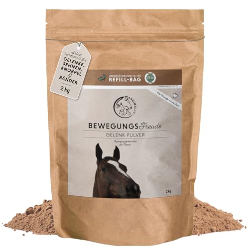 Glucosamin Chondroitin Pferd Die 15 besten Produkte im Vergleich