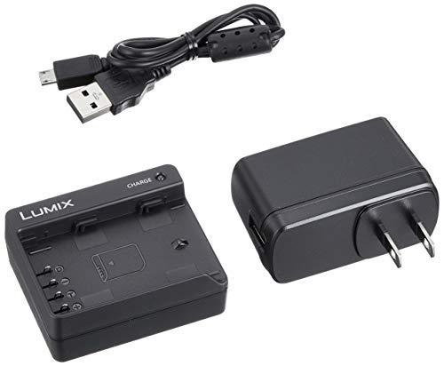 Panasonic LUMIX S5Ⅱx + バッテリーチャージャー 71xg6Ls0MbL.jpg_BO30,255,255,