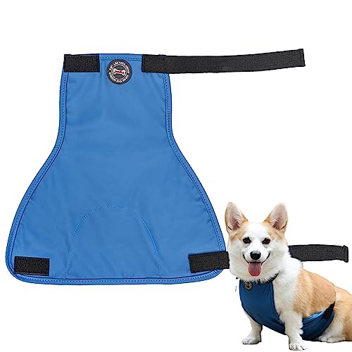 Barriga Cachorro | Filhote cachorro Cueca Masculino - Envoltórios cachorro macho com couro macio e m