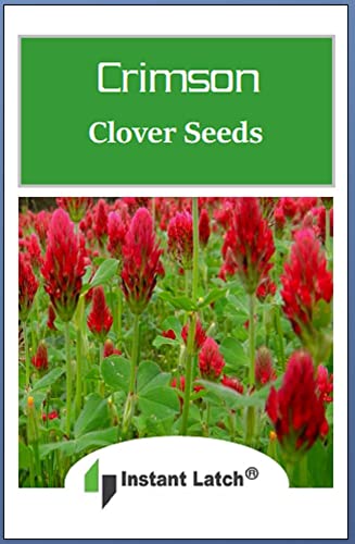 100 Crimson Clover Cover Crop Seeds | Non-Gmo | Heirloom | Fresh Garden Seeds #TOP1