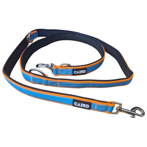 Laisse de dressage double CAIRD 2m réglable en nylon robuste