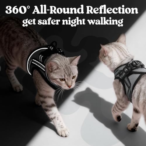 Image of rabbitgoo Cat Harness and Leash Set, Step-in Soft Vest, Grey | Escape Proof, Lightweight, Easy-on & Adjustable, Hook & Loop with Buckle, Reflective, for Small Cats Walks, L