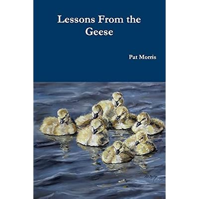 Lessons From the Geese