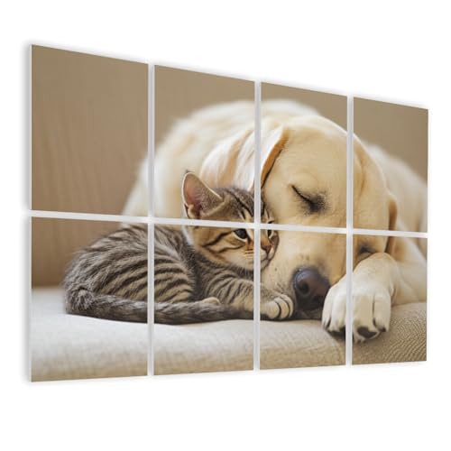 8 Paquetes de Paneles Acústicos Artísticos Autoadhesivos Amarillo Diseño Labrador, Gato Atigrado, Sofá, Paneles Decorativos para Pared, Absorbentes de Sonido 48"x32" para Oficina, Casa, Estudio miniatura 1