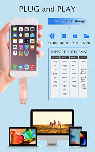 256Gb Photo-Stick-For-Iphone, Apple Mfi Cetified Usb Flash Drive For Iphone Thumb Drive,Iphone-Memory-Stick For Ipad/Iphone/Computer Picture Keeper Portable Hard Drive,Pink #TOP2