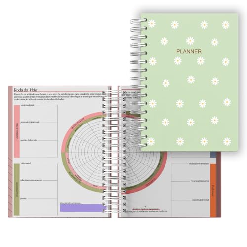 Planner Financeiro Mensal Datado 2026, Roda Da Vida A5 -Planejame...