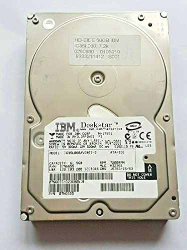 Disco duro IDE de 61,5 GB para recuperar tus datos y fotos en equipos antiguos