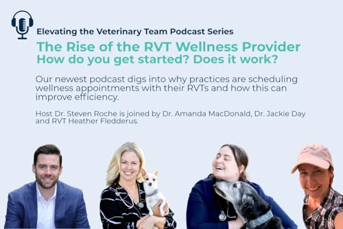 Episode 6: The Rise of the RVT Wellness Provider: How do you get started? Does it work?