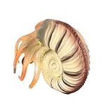 Figuras de animales de juguete: también puedes colocarlas en una pecera o acuario, y se ven geniales, modelo nautilus