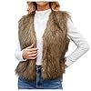 Générique Gilet sans Manche Femme Fourrure Cardigan en Fausse d'hiver Chaud Manteau sans Manche Léger Veste sur le devant en Faux Col V Gilet Chic et Elegant Décontracté Streetwear