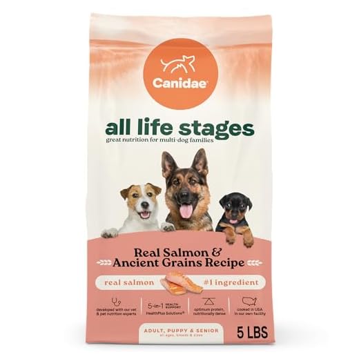 Canidae All Life Stages Real Salmon & Ancient Grains Recipe – High Protein Premium Dry Dog Food for All Ages, Breeds, and Sizes– 5 lbs.