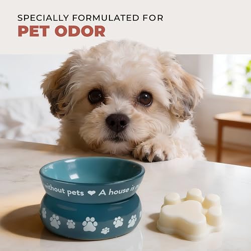 Image of One Fur All Pet House Scented Wax Melts for Warmer - Long-Lasting Pet Friendly Plant Based Soy Wax Melts - Apple Cider Pack of 2